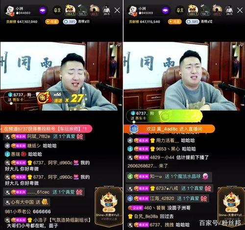 最新直播爆料视频,最新爆料视频深度解析 第1张 最新直播爆料视频,最新爆料视频深度解析 第1张